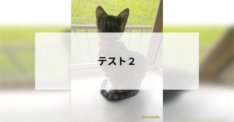テスト２